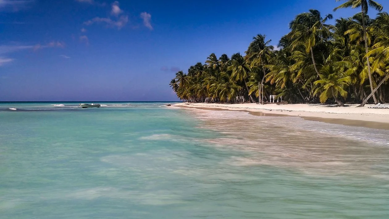 Playa de arena blanca con palmeras y agua turquesa en la costa norte de República Dominicana
