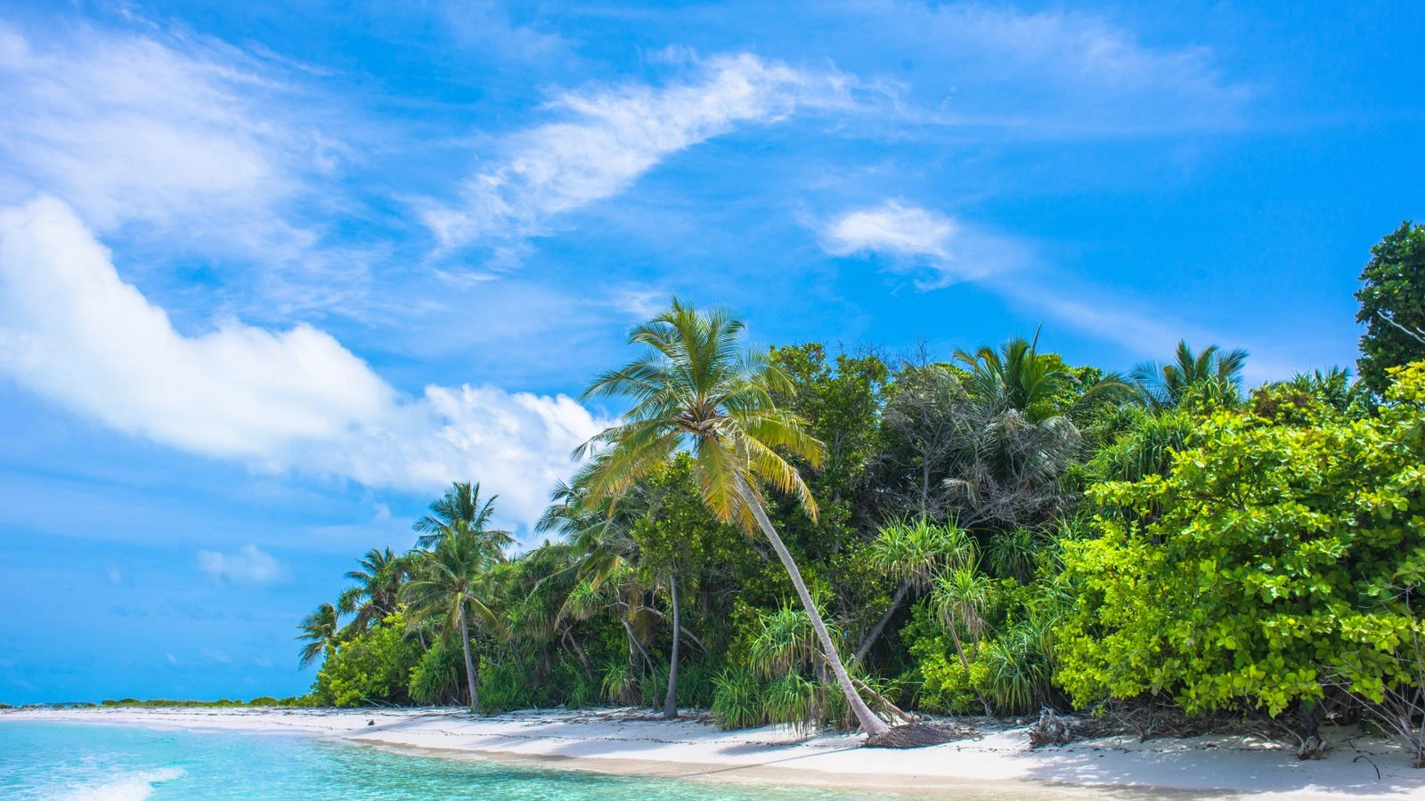 Playa de arena blanca con palmeras y agua turquesa, como las de Cayo Levantado en Samaná