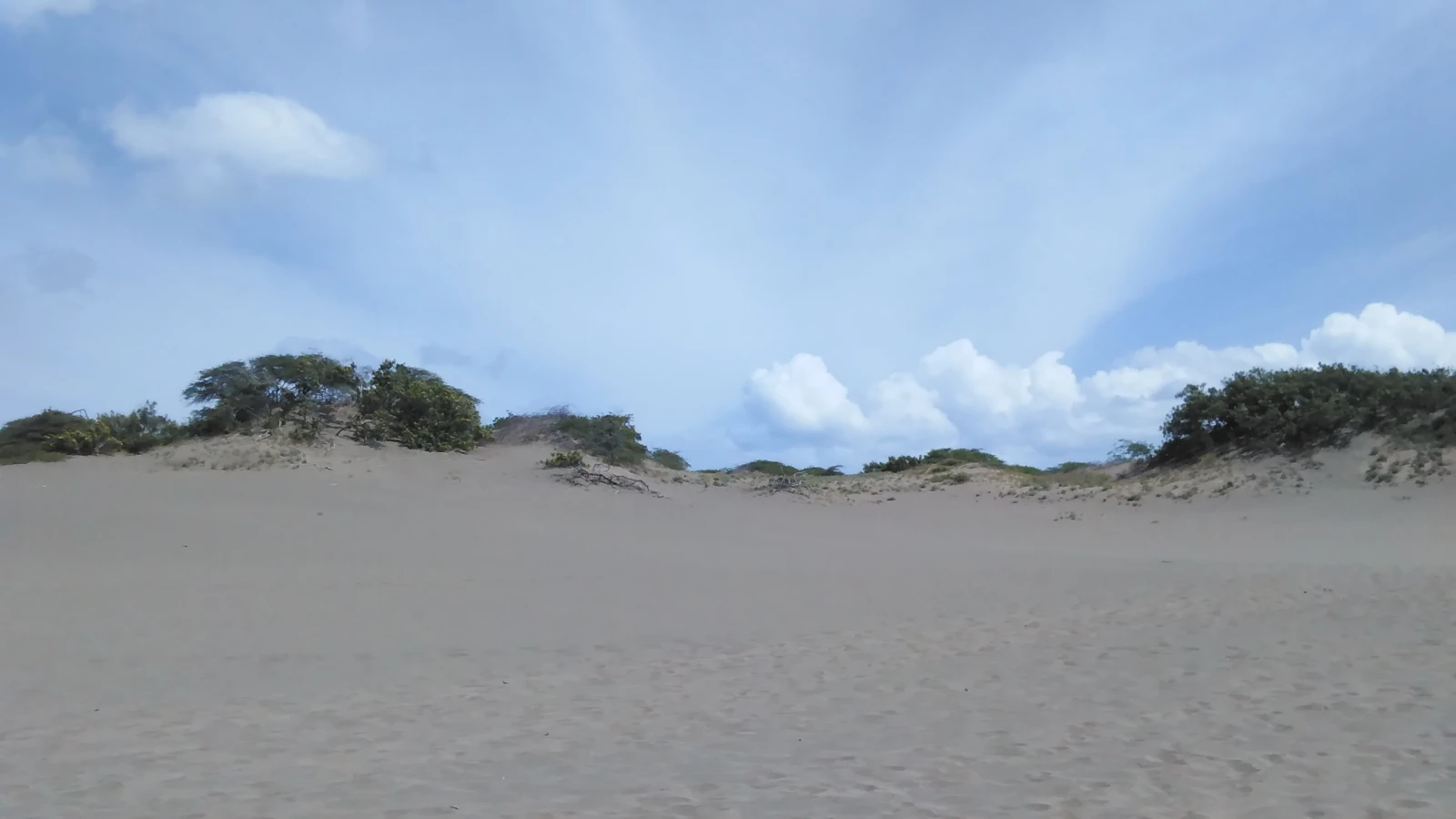 Arena gris y matorral seco bajo un cielo con nubes en las Dunas de Baní, Peravia