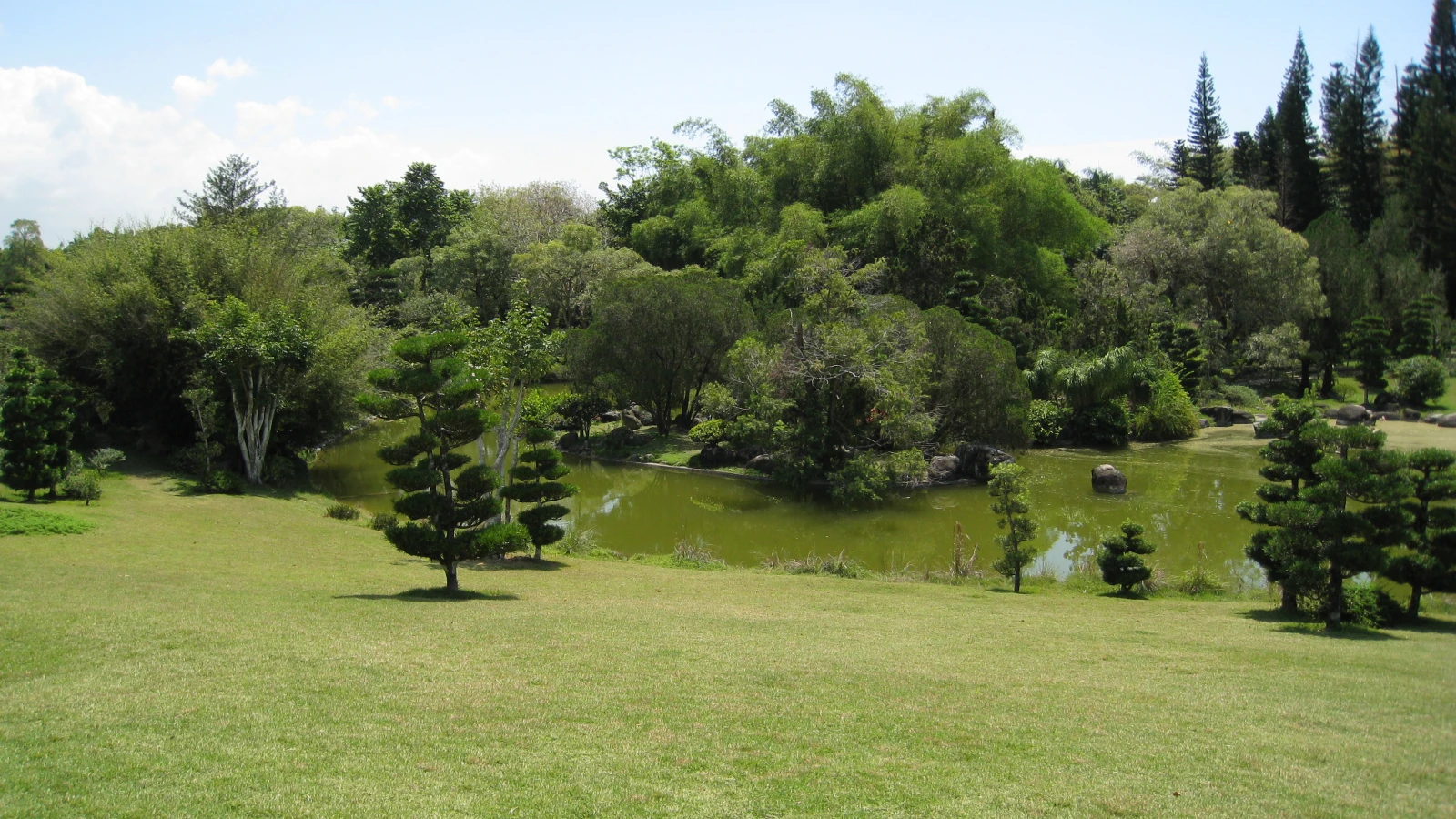 Lago y árboles podados en el jardín japonés del Jardín Botánico Nacional, Santo Domingo