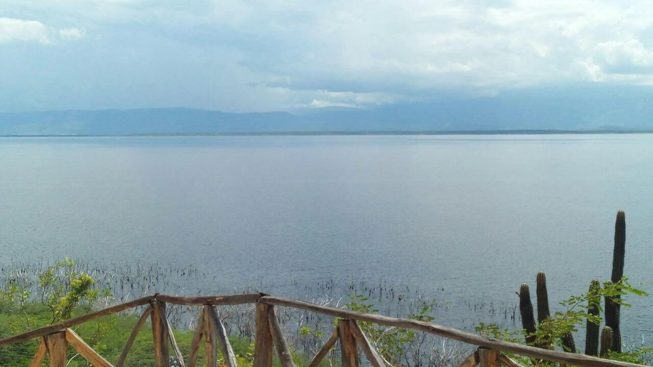 Mirador sobre el Lago Enriquillo con cactus en primer plano