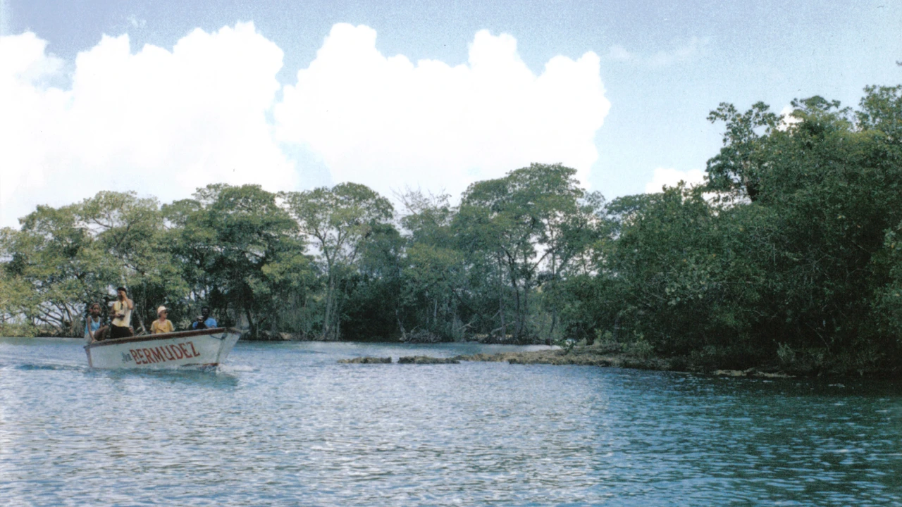 Bote con turistas cruzando los manglares de la Laguna Gri Gri en Río San Juan