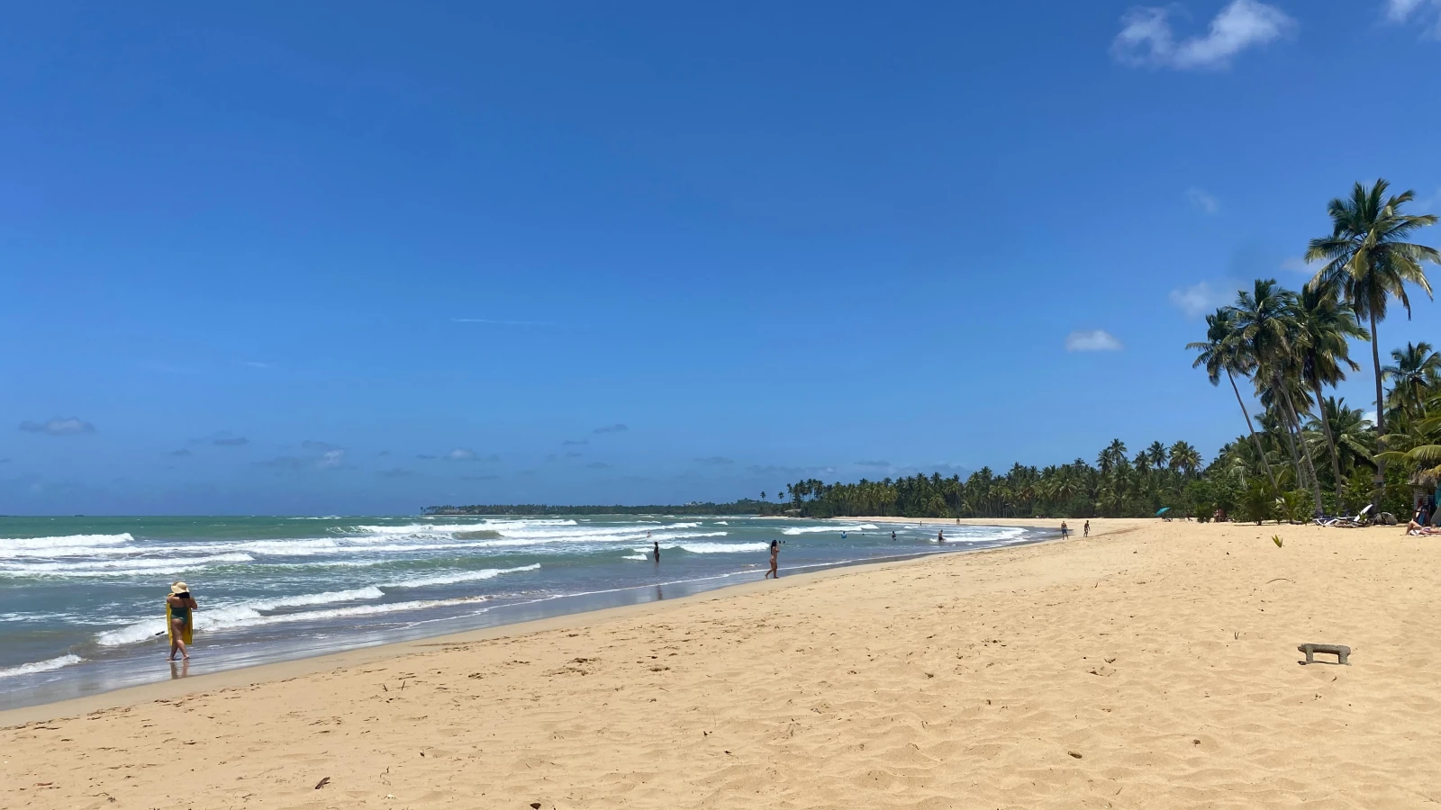 Arena dorada y palmeras de Playa Cosón en Las Terrenas, Samaná, con olas rompiendo en la orilla