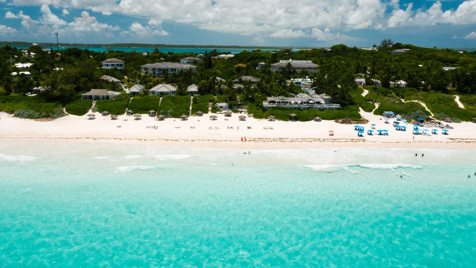 Vista aérea de una playa caribeña con palmeras, arena blanca y agua turquesa