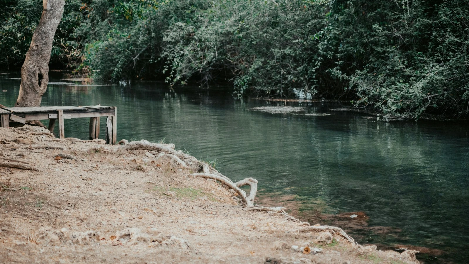 Orilla de un río en República Dominicana, con un pequeño muelle de madera y bosque verde al otro lado del agua