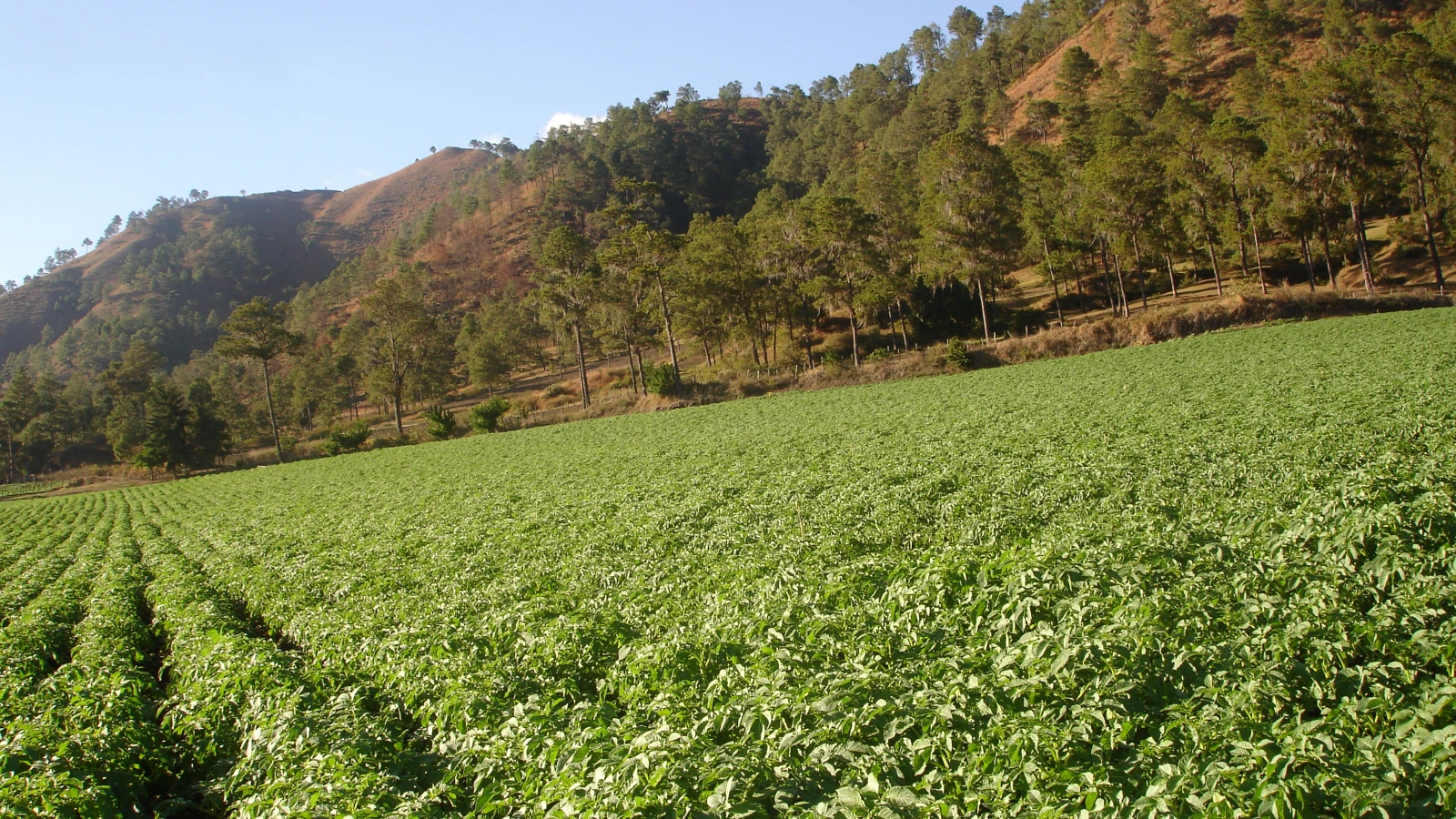 Pueblos de montaña en RD para un fin de semana: Jarabacoa, Constanza y más
