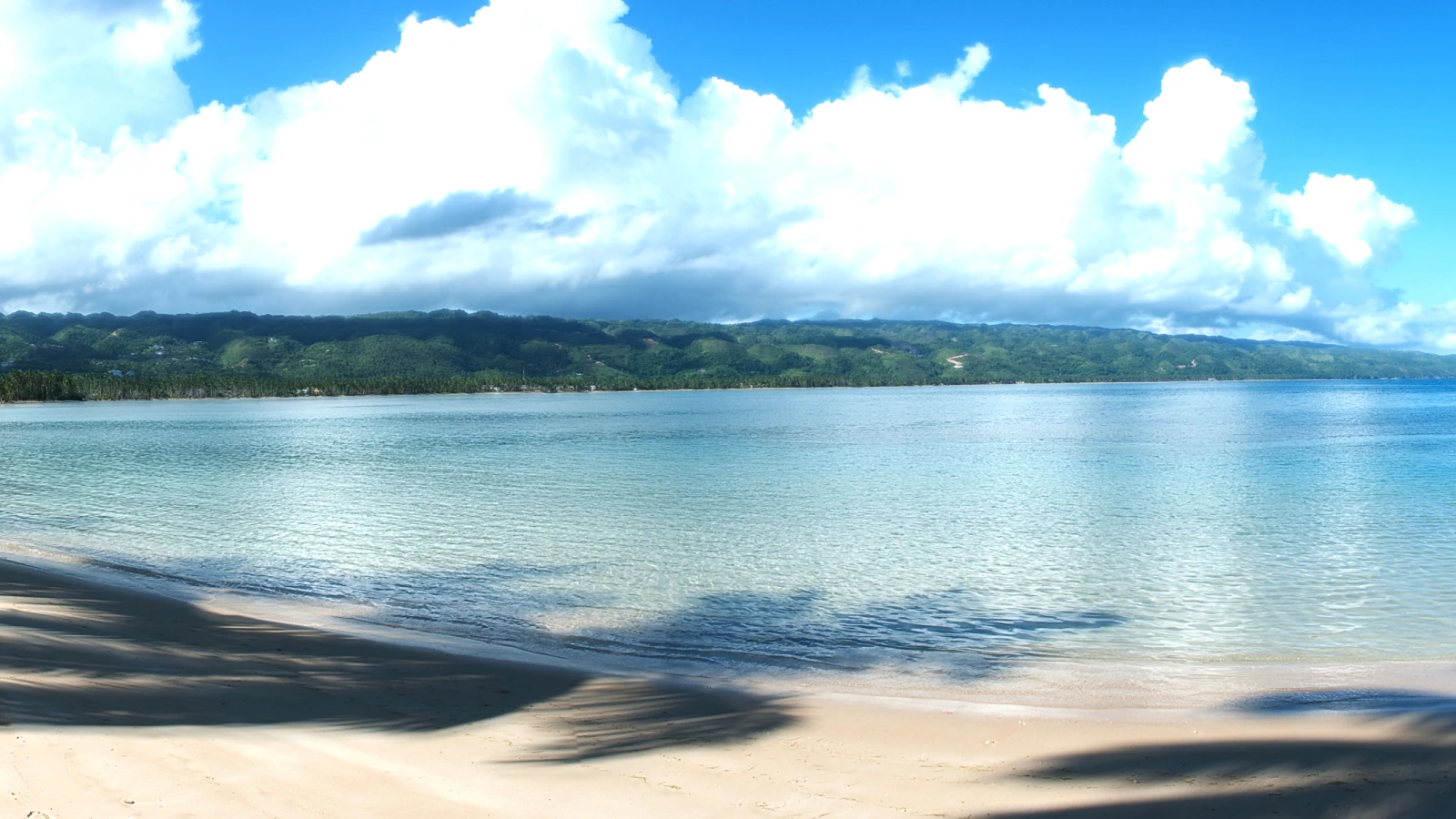 Panorámica de una playa de Las Terrenas, Samaná, con palmeras y mar