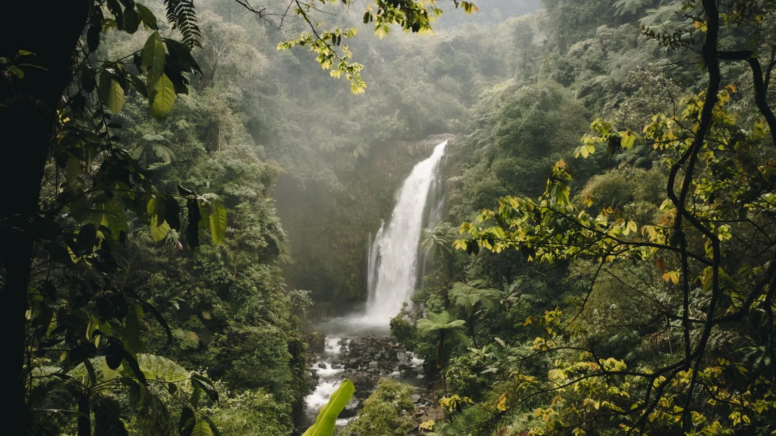 Cascada tropical cayendo entre la vegetación densa de la selva