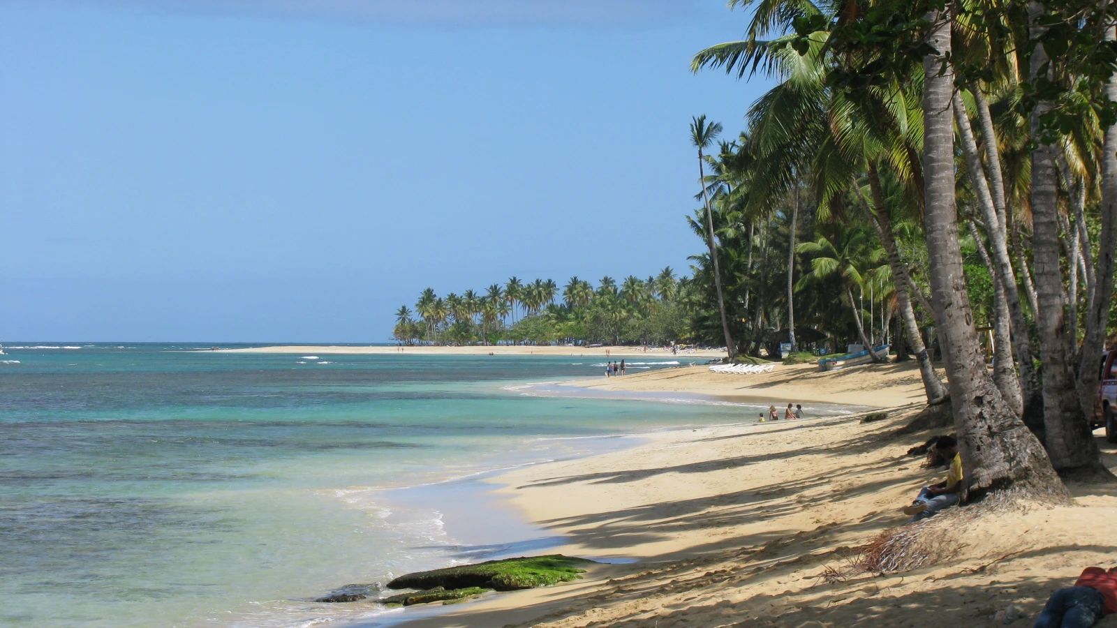 Playa de Las Terrenas con palmeras en Samaná
