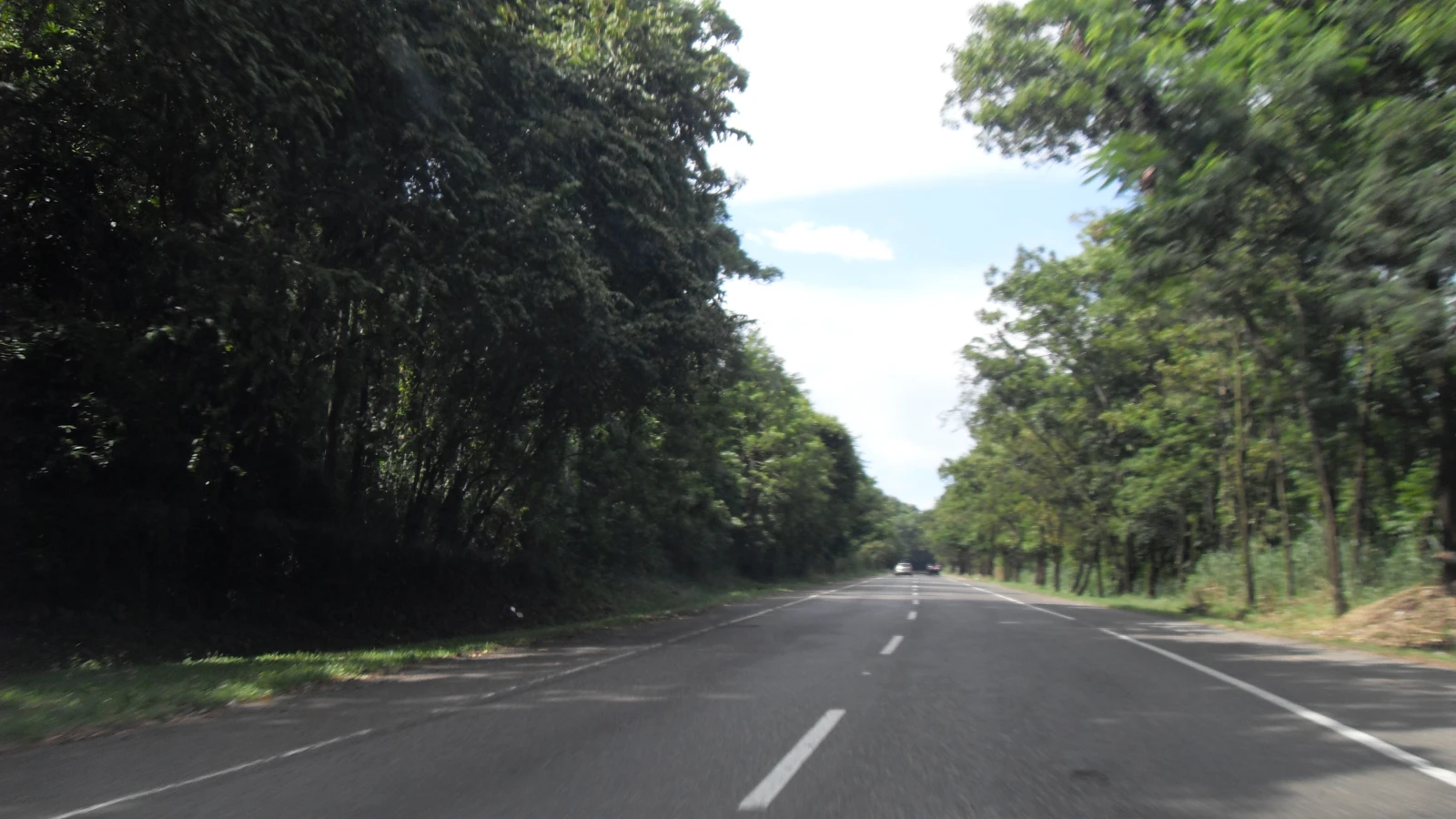 Tramo de la Autopista Duarte con árboles a ambos lados, visto desde el carro, en República Dominicana