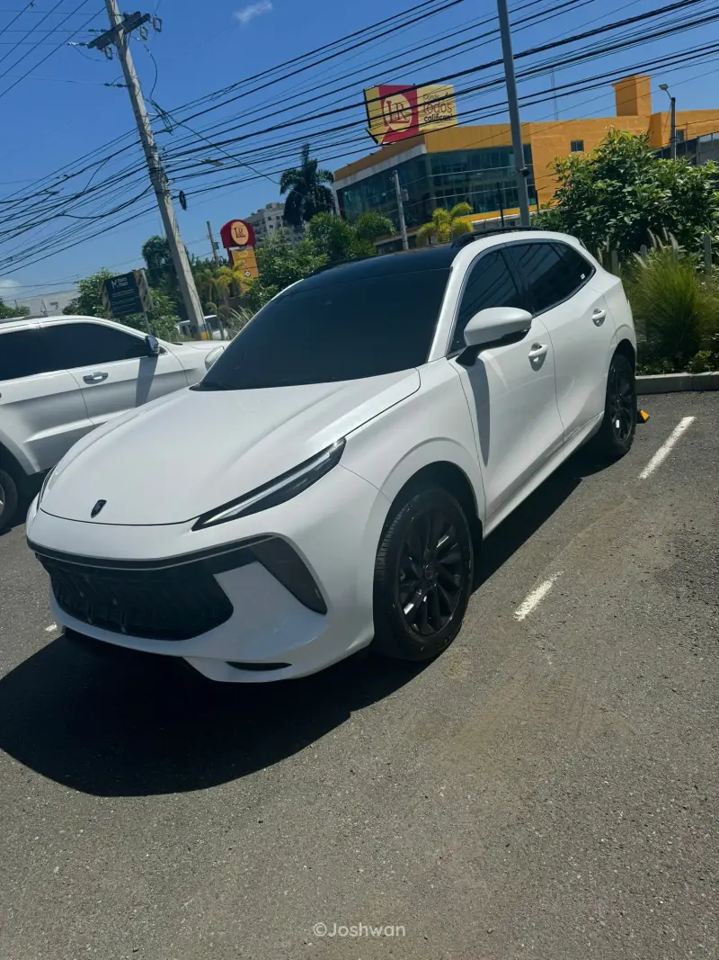 Dongfeng Forthing 2025