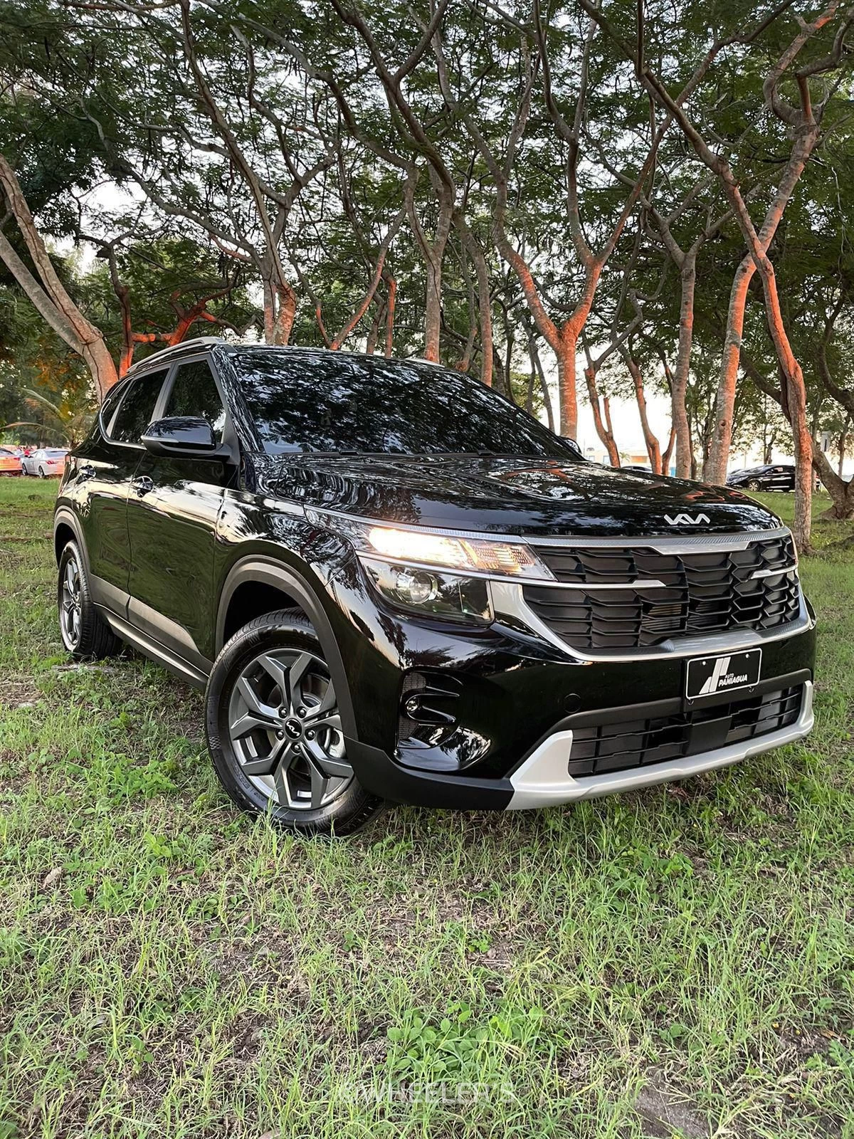 Kia Seltos 2025 - Image 2